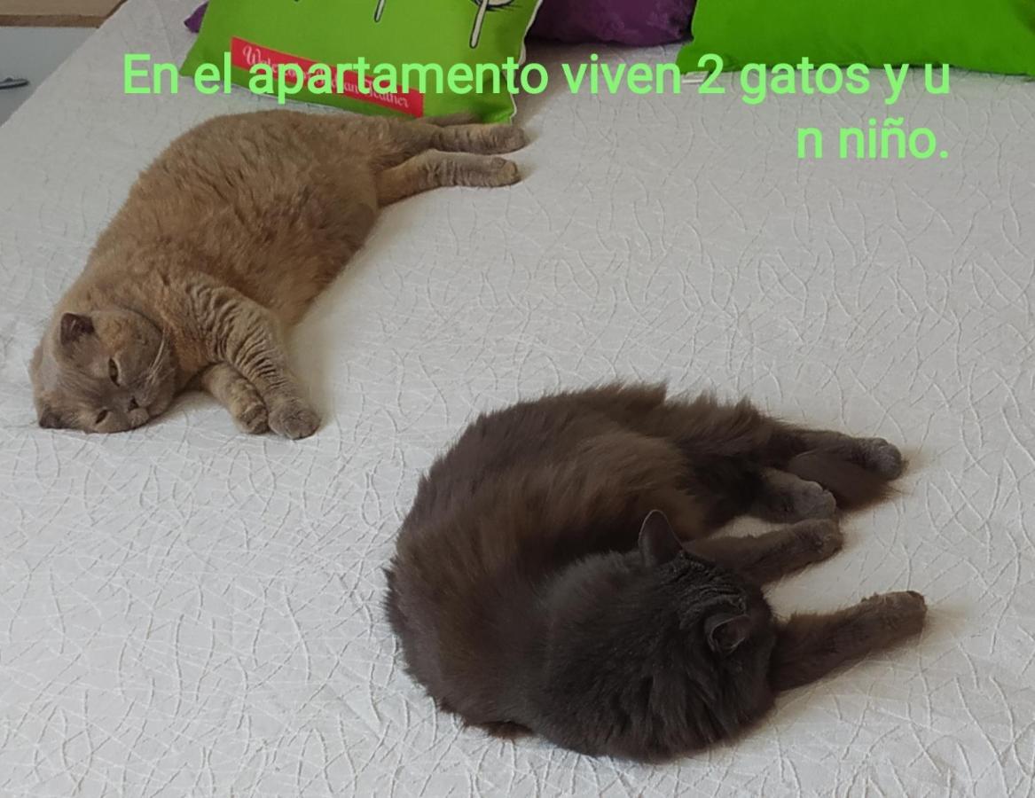 Appartamento Habitación con vistas a Santa Bárbara junto a la Universidad de Alicante San Vicente Raspeig Esterno foto